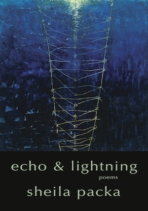 echo and lightning image